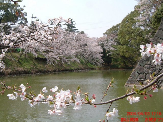 dscf0044.jpg