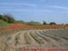 dscf0057_small.jpg