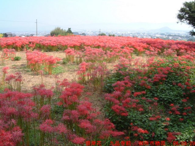 dscf0058.jpg