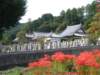dscf0059_small.jpg