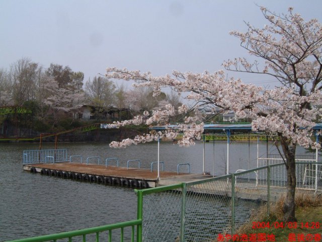 dscf0064.jpg