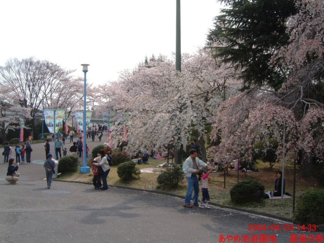 dscf0066.jpg