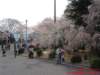 dscf0066_small.jpg