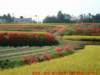 dscf0068_small.jpg