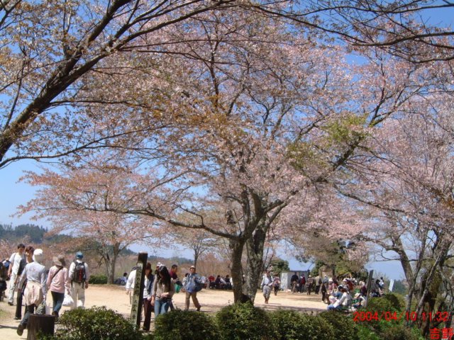 dscf0078.jpg