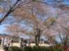 dscf0078_small.jpg