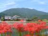 dscf0084_small.jpg
