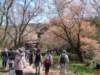 dscf0086_small.jpg