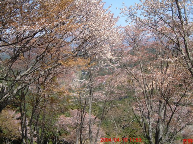 dscf0087.jpg