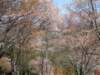 dscf0087_small.jpg