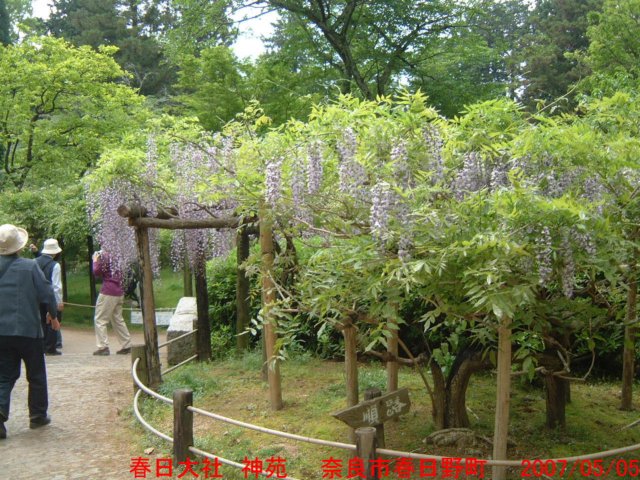dscf0091.jpg