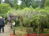 dscf0091_small.jpg