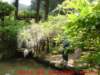dscf0097_small.jpg