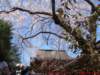dscf0098_small.jpg