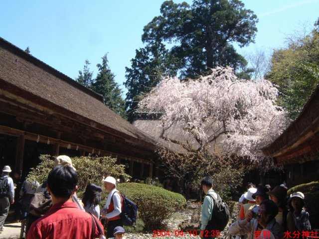 dscf0100.jpg