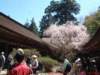 dscf0100_small.jpg