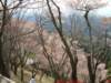 dscf0104_small.jpg