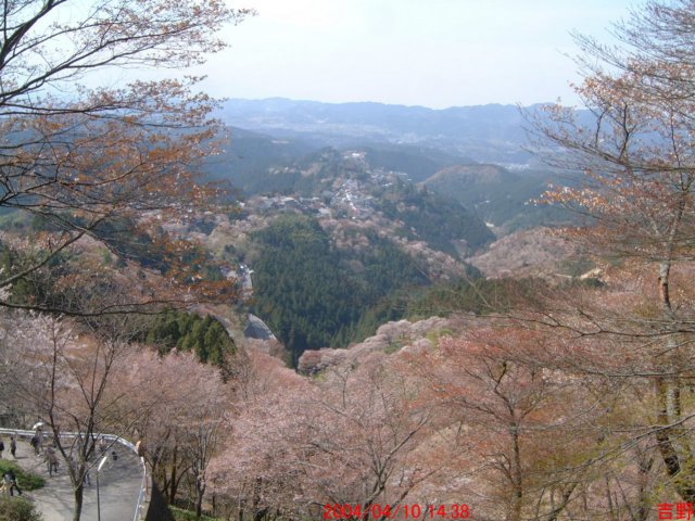 dscf0105.jpg