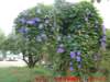 dscf0115_small.jpg