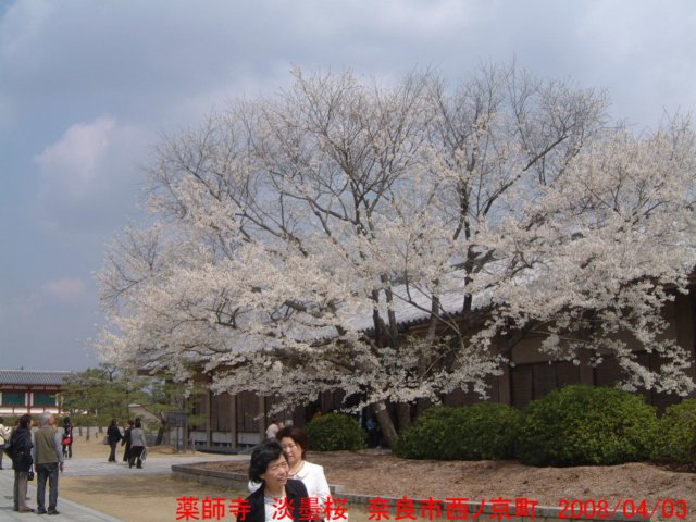 dscf0117.jpg
