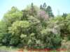 dscf0123_small.jpg