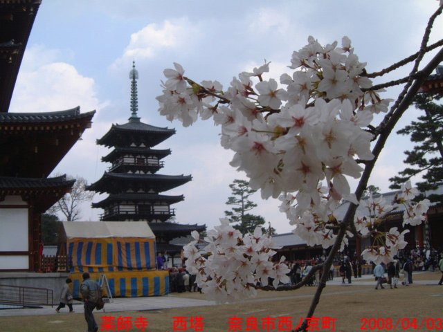 dscf0133.jpg