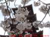 dscf0134_small.jpg
