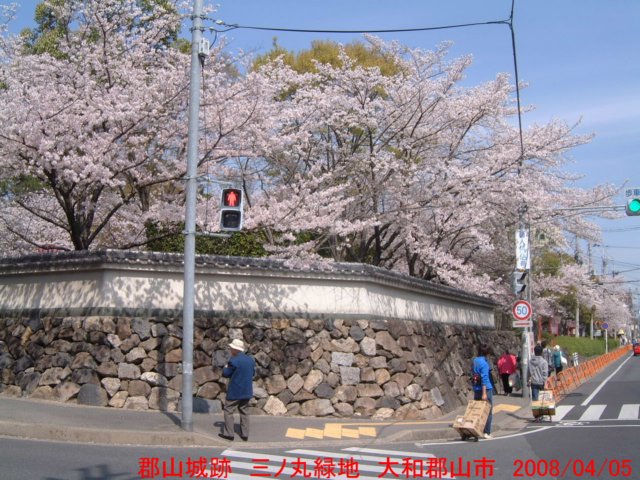 dscf0147.jpg