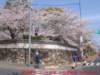 dscf0147_small.jpg