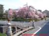 dscf0148_small.jpg