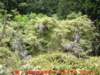 dscf0149_small.jpg