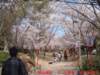 dscf0150_small.jpg