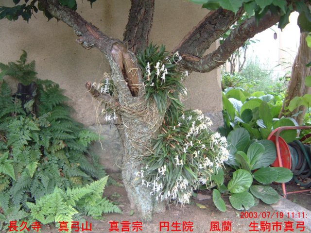 dscf0224.jpg