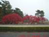dscf0238_small.jpg