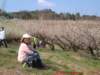 dscf0274_small.jpg