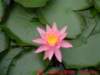 dscf0290_small.jpg