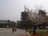 dscf0316_small.jpg