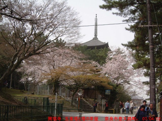 dscf0318.jpg