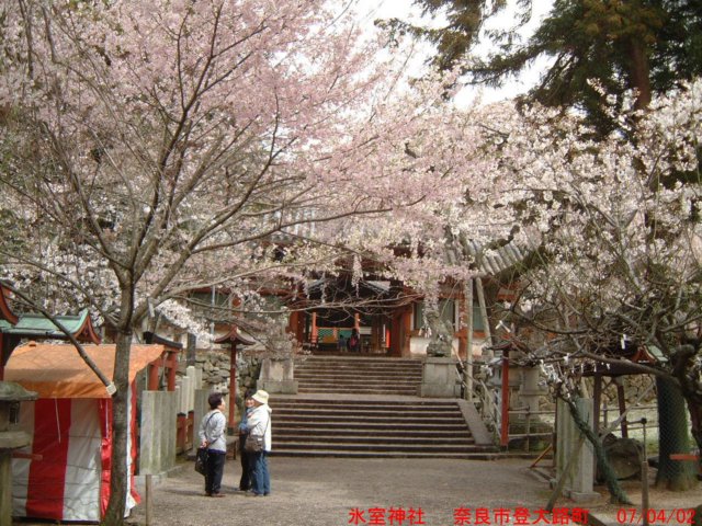 dscf0322.jpg