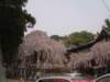 dscf0326_small.jpg