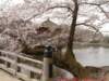 dscf0330_small.jpg