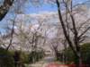 dscf0351_small.jpg