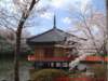 dscf0354_small.jpg