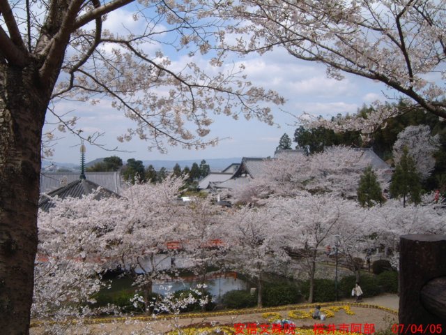 dscf0365.jpg