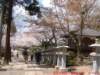 dscf0368_small.jpg
