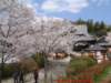 dscf0370_small.jpg