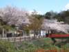 dscf0371_small.jpg