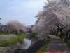 dscf0395_small.jpg