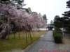 p1000388_small.jpg