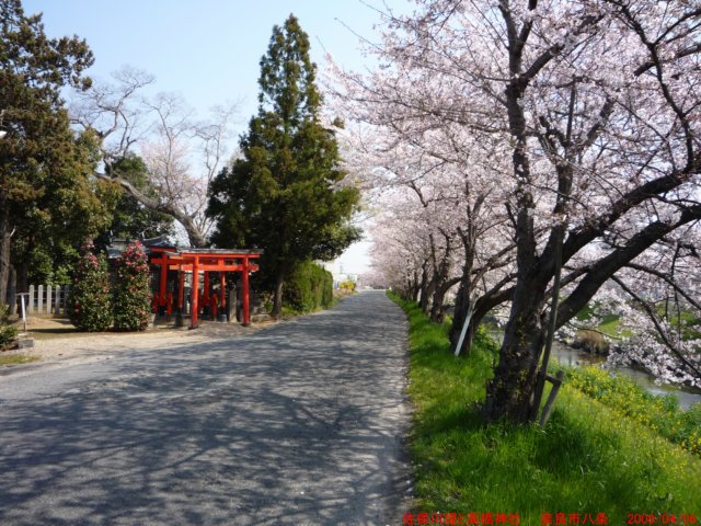 p1000424.jpg